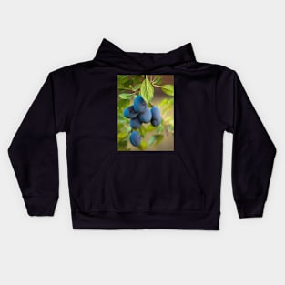 Ripe blue plums in an orchard Kids Hoodie